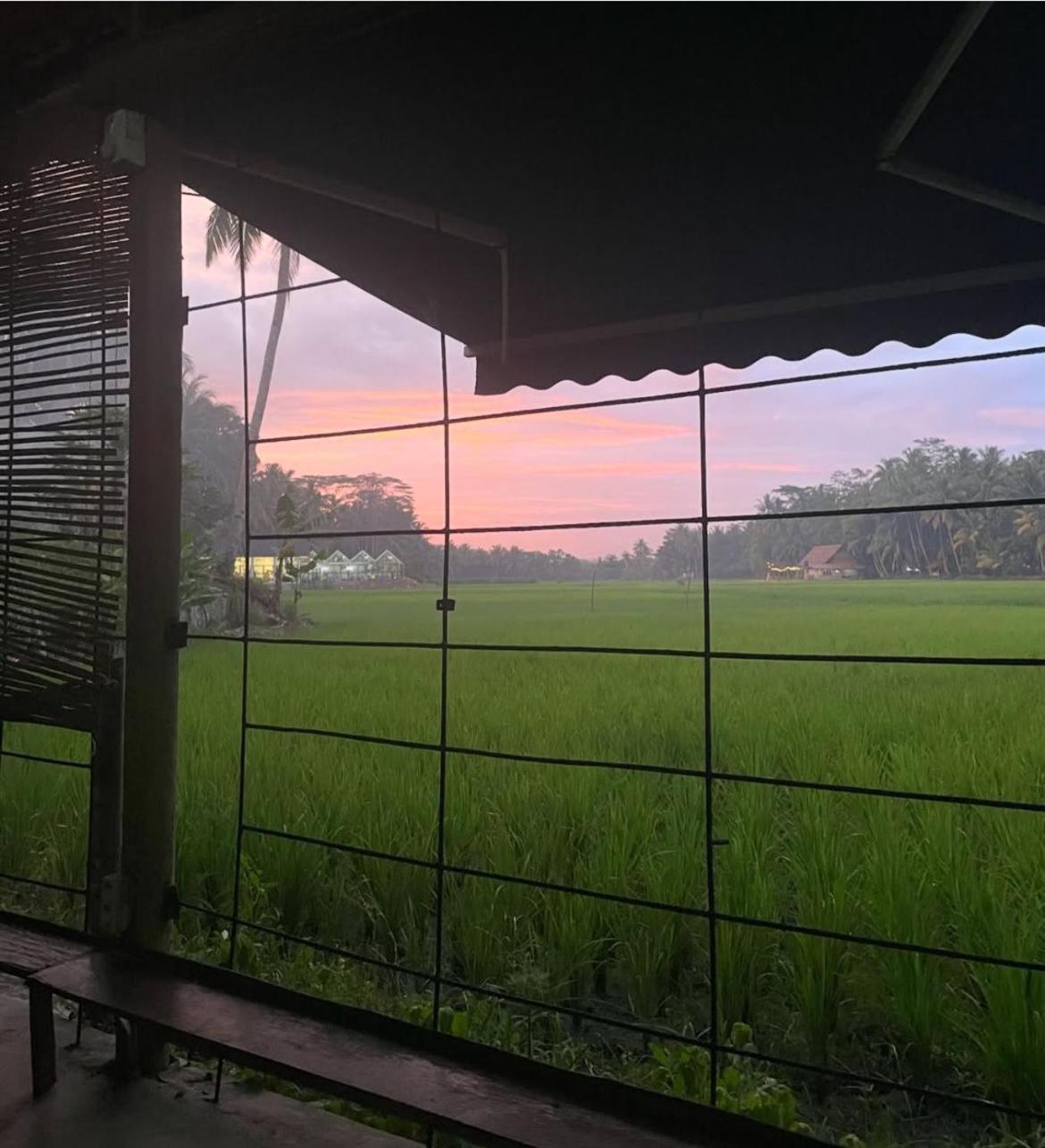 D'Jarwo House Hostel Batukaras Bagian luar foto